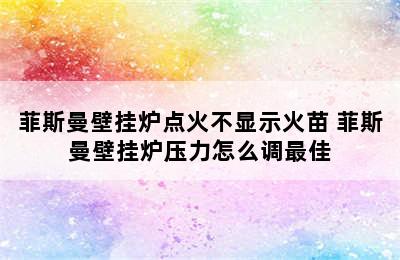 菲斯曼壁挂炉点火不显示火苗 菲斯曼壁挂炉压力怎么调最佳